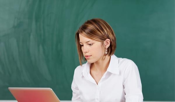 Adult working in the school on a laptop